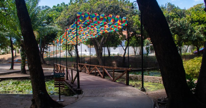 Entre blocos e sabores, Olinda Dá Gosto se firma como ponto gastronômico do Carnaval