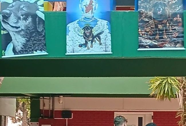 Estudantes da UDESC pedem justiça pela morte do cão Orelha e exigem expulsão do responsável.