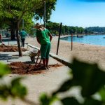 Prefeitura de Guaratiba inaugura inovadora iniciativa de produção de árvores