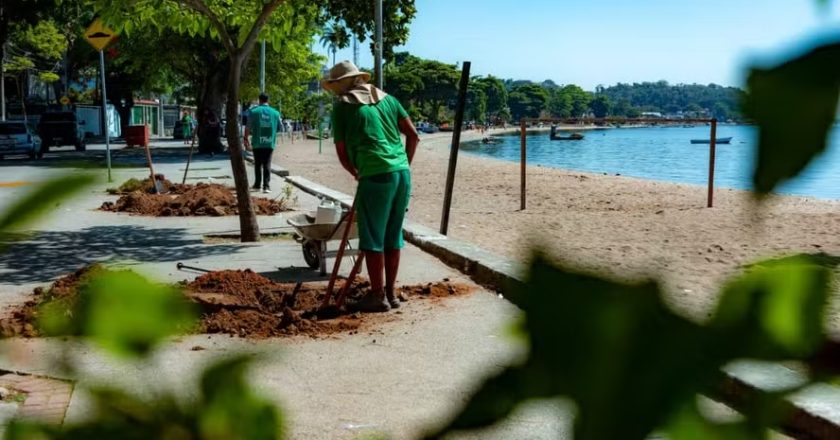 Prefeitura de Guaratiba inaugura inovadora iniciativa de produção de árvores