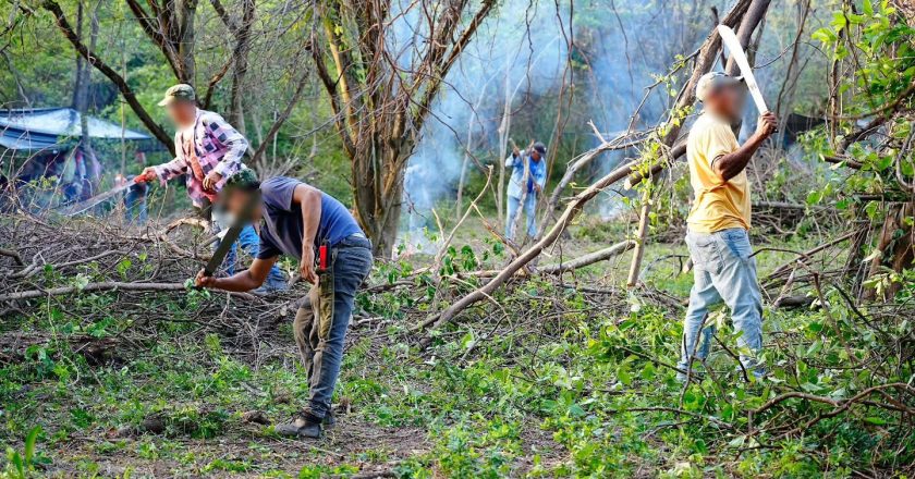 Agricultores se mobilizam e ocupam terras em resistência ao latifúndio na Colômbia
