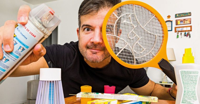 Combate aos mosquitos: pragas persistem até no inverno
