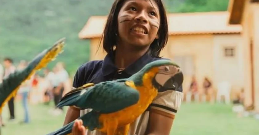 Maricá é reconhecida pela ONU com prêmio por estabelecer a primeira Reserva Municipal Indígena do país